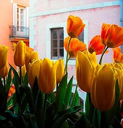 Boutique Davallada- Adults Only Penzion